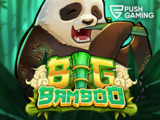 Bingo online casino14